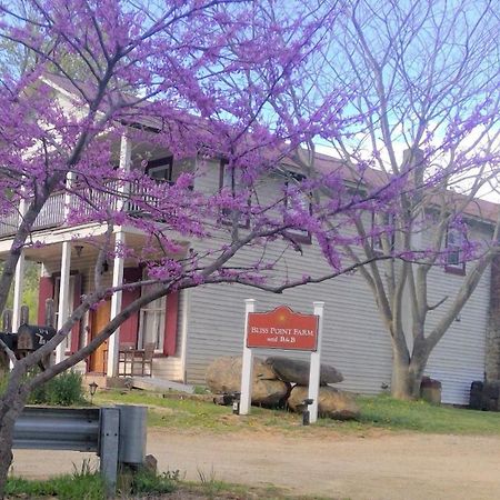 Bliss Point Farm And B&B, Llc Earlysville Buitenkant foto