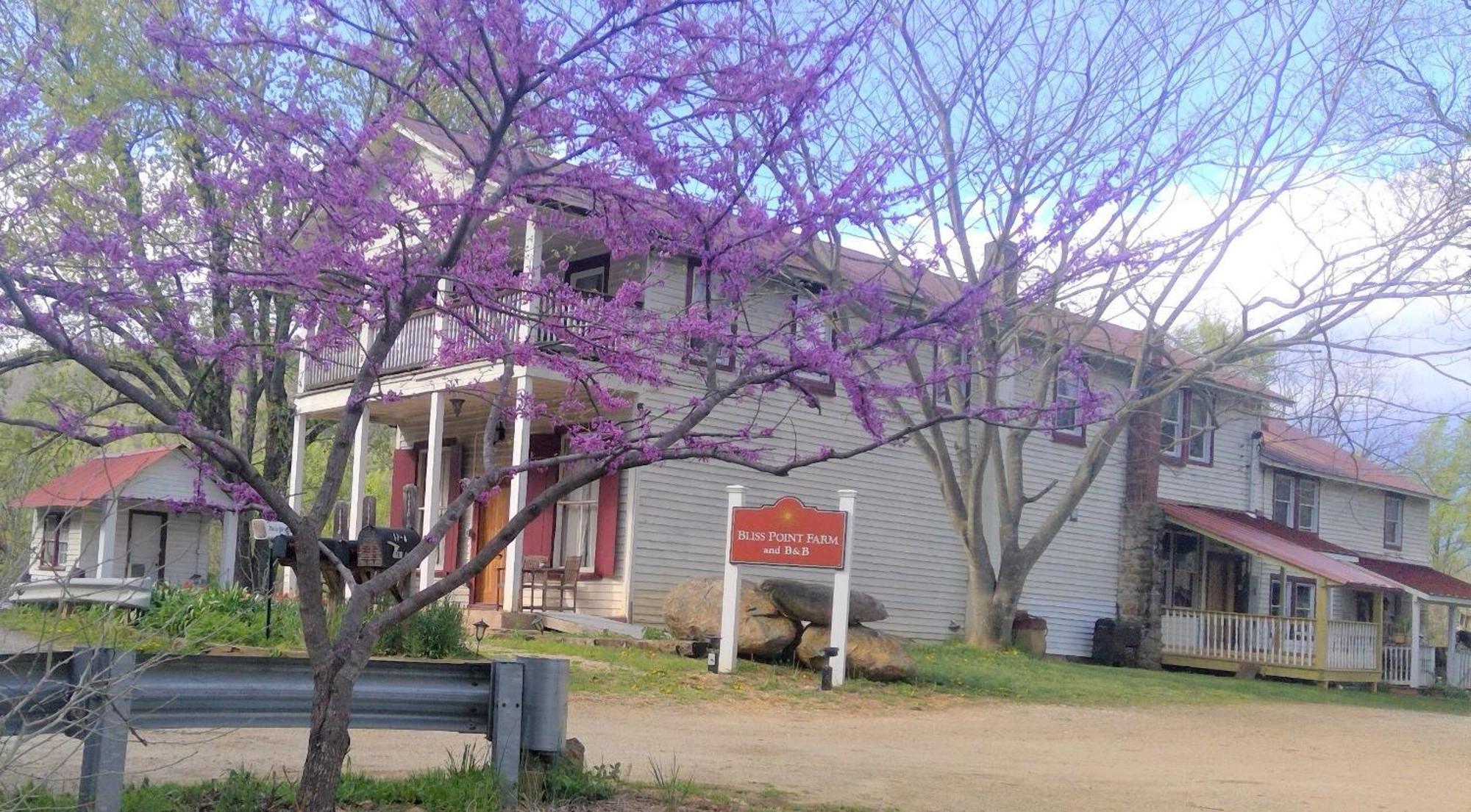 Bliss Point Farm And B&B, Llc Earlysville Buitenkant foto